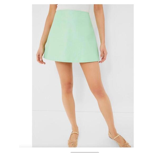 Tuckernuck Mint Chip Leather Meg Mini Skirt NWT Extra Large XL - Picture 1 of 5